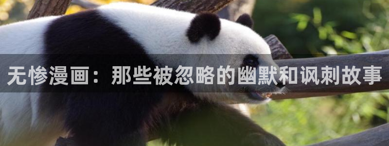 包子漫画免费观看