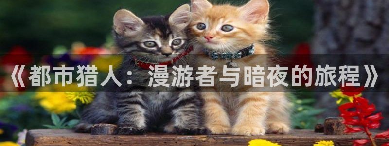 包子漫画溺酒：《都市猎人：漫游者与暗夜的旅程》