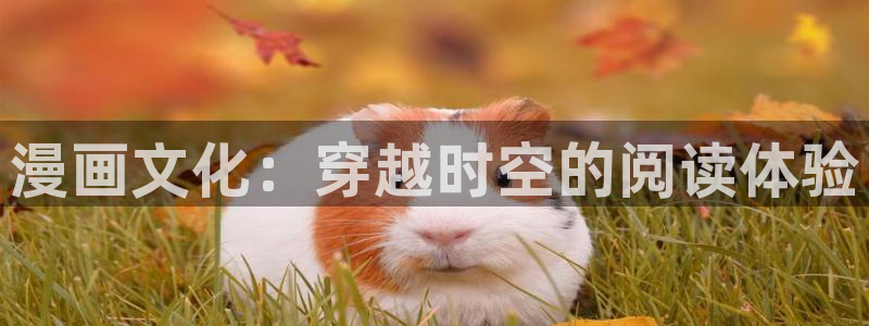 全部包子漫画：漫画文化：穿越时空的阅读体验